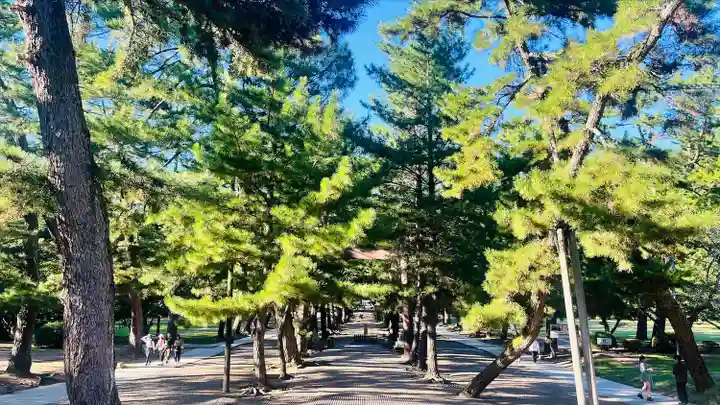 出雲大社(島根県)