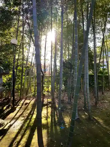 天台宗　長窪山　正覚寺の庭園