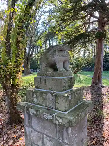 角田神社の狛犬