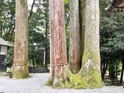 日尾神社(三重県)