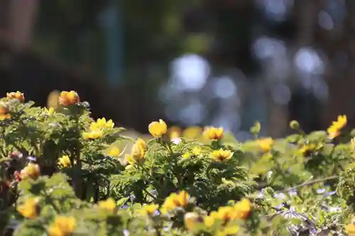 正観音堂の自然