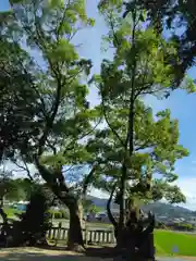 上田八幡神社(兵庫県)