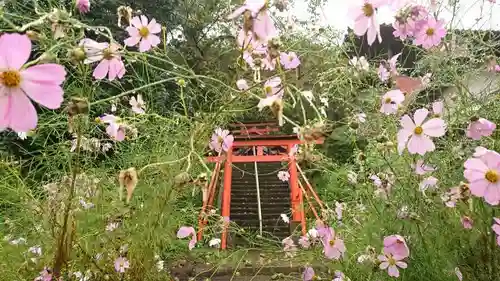 三崎稲荷神社の鳥居