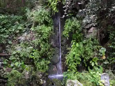 清滝寺(高知県)