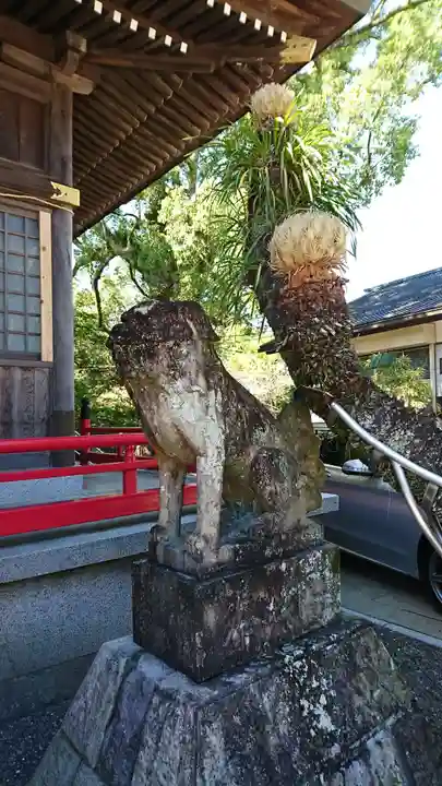 本渡諏訪神社の狛犬