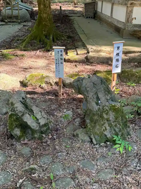 若狭姫神社(若狭彦神社下社)(福井県)