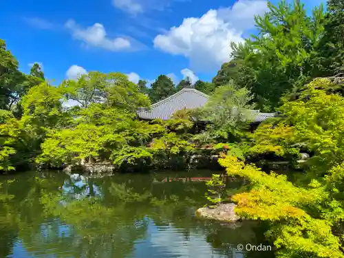 醍醐寺(京都府)