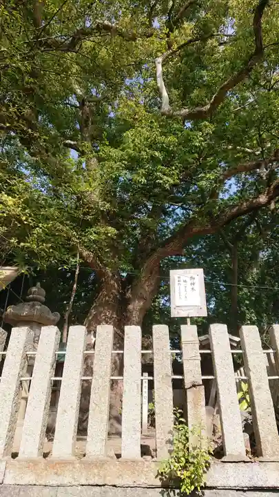 七所神社の自然