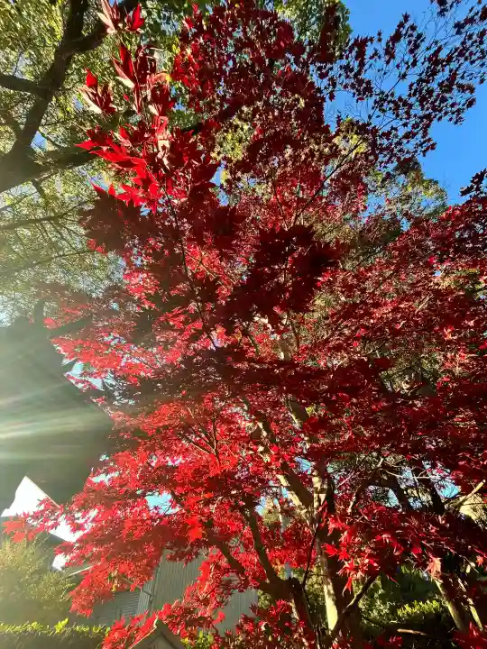 宝来山神社(和歌山県)