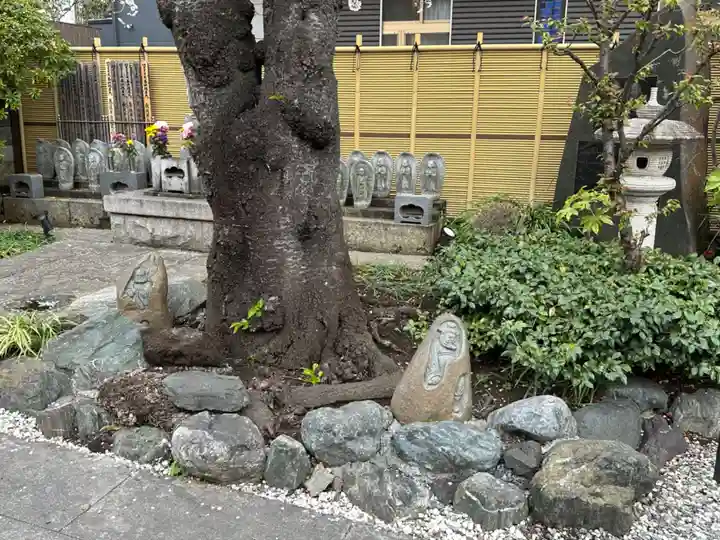 真照寺(神奈川県)