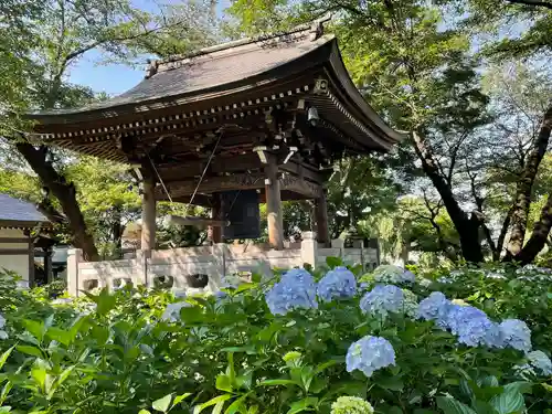 妙楽寺のその他建物