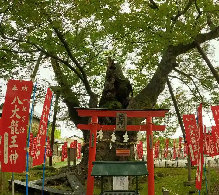 秩父今宮神社(埼玉県)