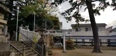 大曽根八幡神社(埼玉県)