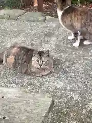 玉野御嶽神社の動物