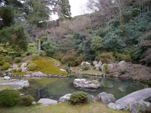 青蓮院門跡の庭園