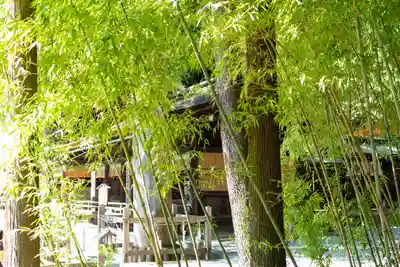 諏訪大社下社秋宮(長野県)