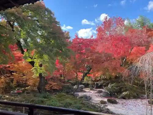 宝筐院(京都府)
