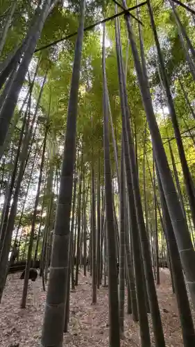報国寺(神奈川県)
