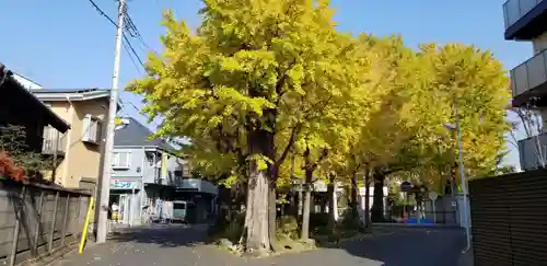高木神社の自然