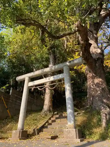 大宮神社の鳥居