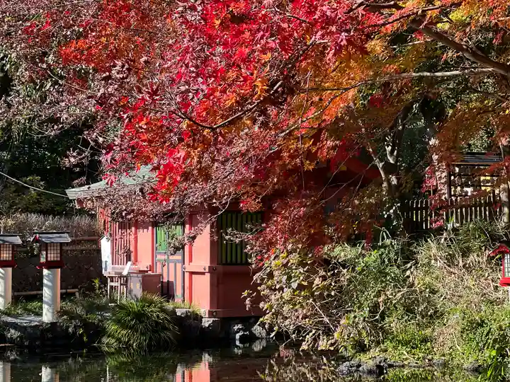 富士山本宮浅間大社(静岡県)
