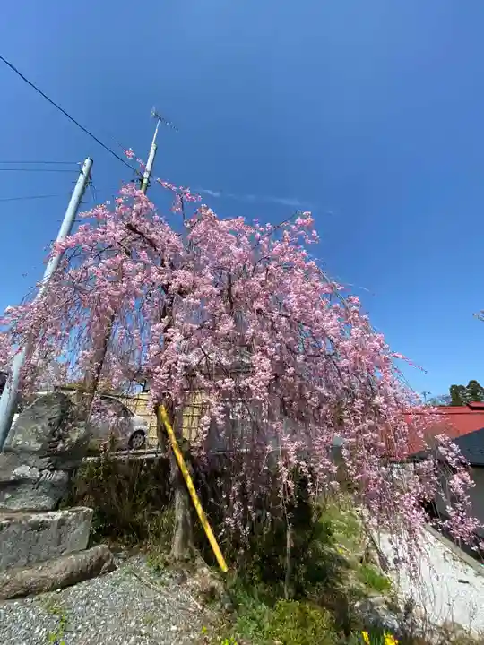 安養寺(福島県)