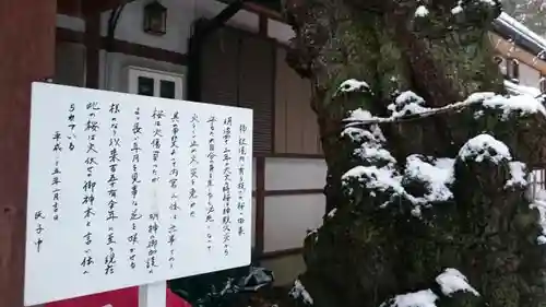 諏訪神社の歴史