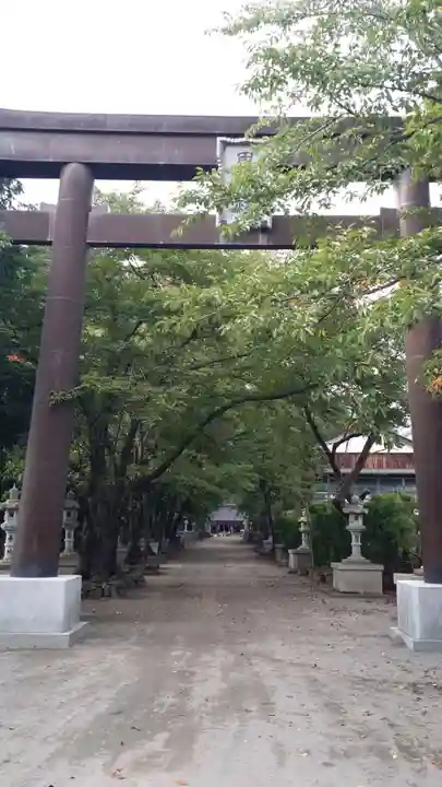 冨士御室浅間神社の鳥居