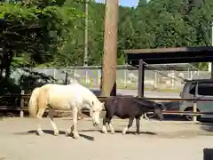 丹生川上神社（下社）(奈良県)