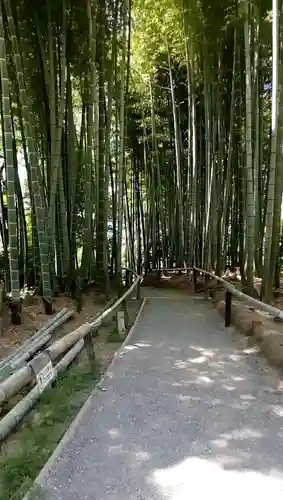 高台寺（高台寿聖禅寺・高臺寺）の庭園