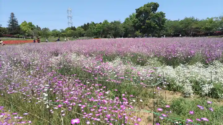 東本願寺本廟 牛久浄苑(牛久大仏)(茨城県)