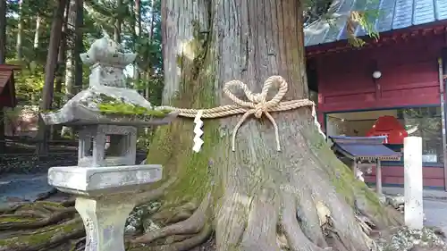 北口本宮冨士浅間神社(山梨県)