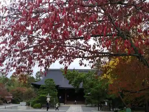 廣隆寺のその他建物