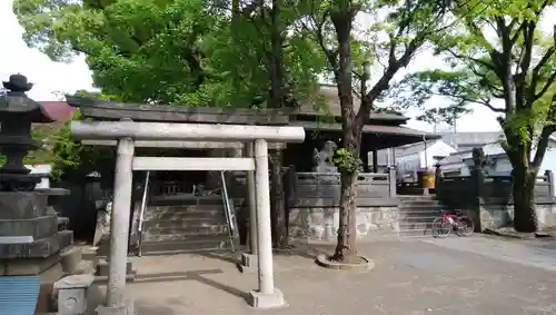千住氷川神社の鳥居