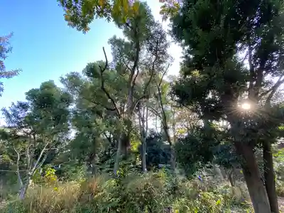布多天神社(東京都)