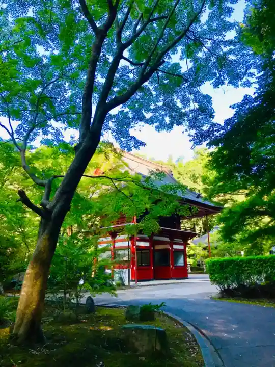 龍福寺(千葉県倉橋駅)の投稿(1回目)。旭市の岩井不動とも呼ばれ 龍福寺(千葉県倉橋駅)の投稿(1回目)。旭市の岩井不動とも呼ばれ