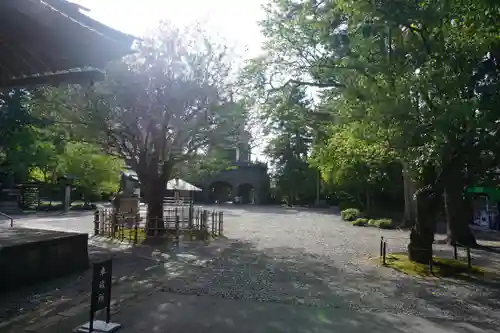 尾山神社の庭園