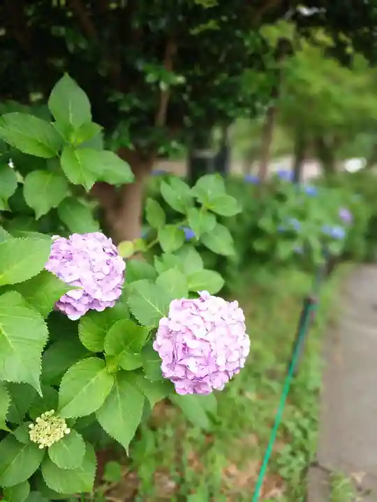 清水観音堂(東京都)