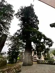 飛騨一宮水無神社(岐阜県)