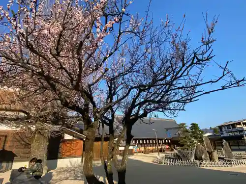 大願寺の{uncategorized: "未分類", other: "その他", undefined: "問題あり", building: "その他建物", grave: "お墓", sacred_gate: "鳥居", guardian: "狛犬", statue: "像", buddha: "仏像", history: "歴史", nature: "自然", garden: "庭園", animal: "動物", pagoda: "塔", temizu: "手水舎", mountain_gate: "山門・神門", sanctuary: "本殿・本堂", subordinate: "末社・摂社", art: "芸術", scenery: "景色", jizo: "地蔵", ema: "絵馬", goshuin: "御朱印", omikuji: "おみくじ", items: "授与品その他", amulet: "お守り", goshuincho: "御朱印帳", eats: "食事", festival: "お祭り", votive_dance: "神楽", shichigosan: "七五三参", wedding: "結婚式", experience: "体験その他", initially: "初詣", around: "周辺", anti_infection: "感染症対策"}