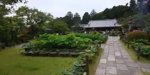 三室戸寺の庭園