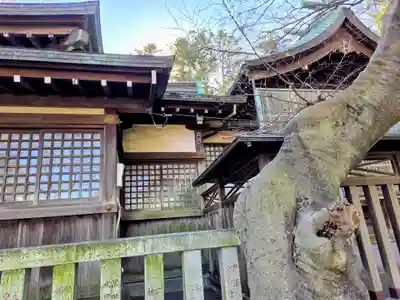 小杉神社(神奈川県)
