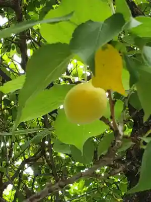 證誠寺(東京都)