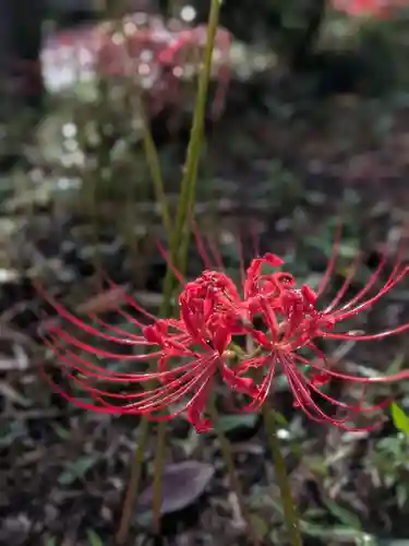 福蔵院(東京都)