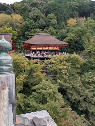 清水寺(京都府)