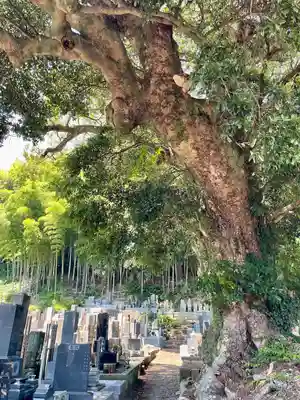 真福寺(神奈川県)