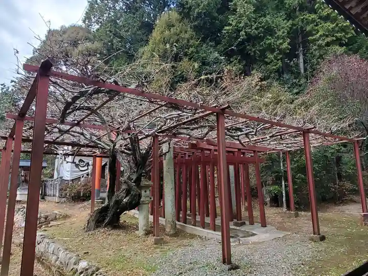 一之宮神社の自然