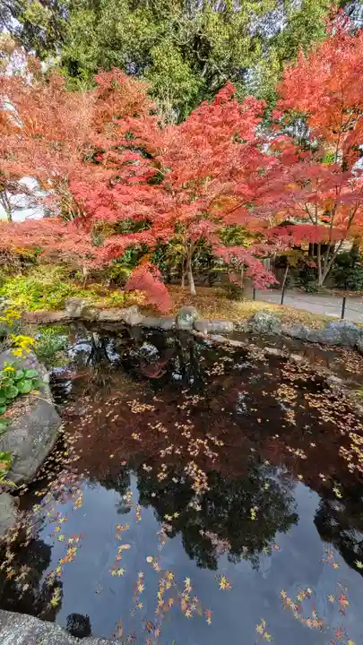 長岡天満宮(京都府)