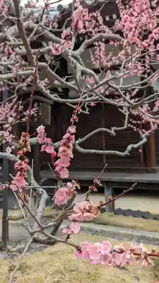 真正極楽寺(真如堂)(京都府)