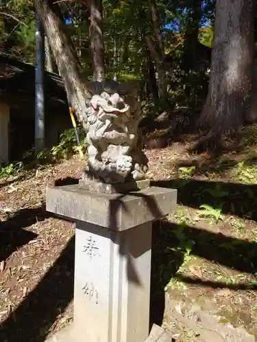 中社五斎神社の狛犬